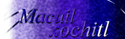 banner.jpg