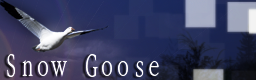 bn.png